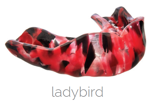 Ladybird